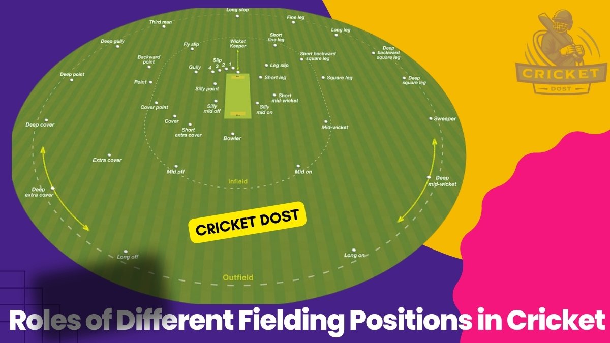 Different fielding positions in cricket explained with player placements on the field
